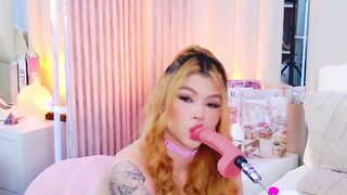 TeffyLaRose My new obsession just started 2026-02-14