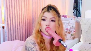 TeffyLaRose My new obsession just started 2026-02-14