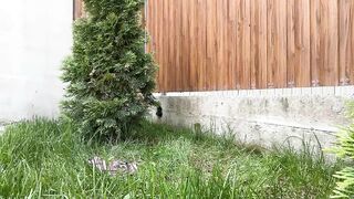 nyconik 2026-05-16 0850 webcam video