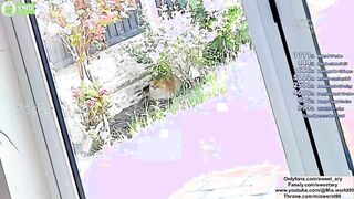 sweet_ary 2026-05-23 1210 webcam video