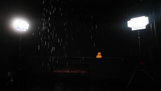 _meganmeow_ 2026-06-20 0040 webcam video