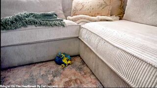 x_lily_x 2026-03-03 1200 webcam video