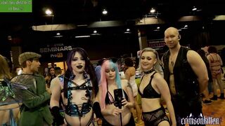 crimsonkitten Wild Live Chat Stream 2026-04-11