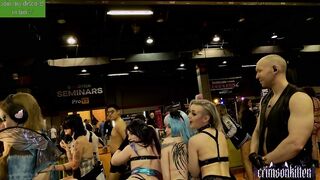 crimsonkitten Wild Live Chat Stream 2026-04-11