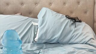 downsouthsillygirl Bold Webcam Show Video 2026-04-11